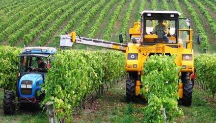 Vineyard Machinery